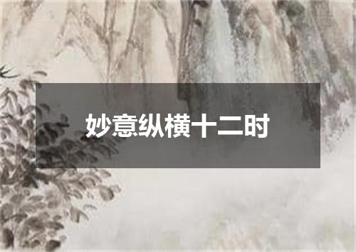 妙意纵横十二时