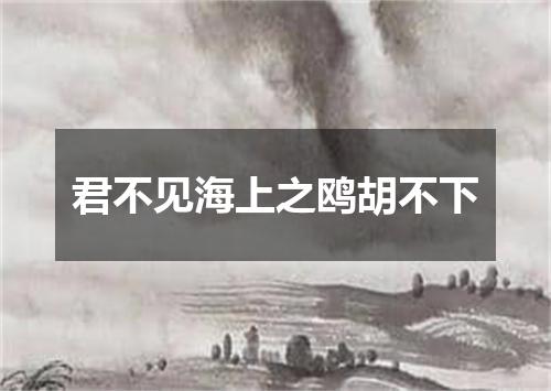 君不见海上之鸥胡不下
