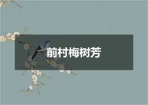 前村梅树芳
