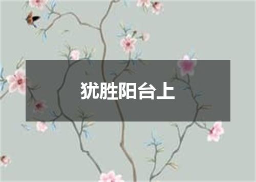 犹胜阳台上