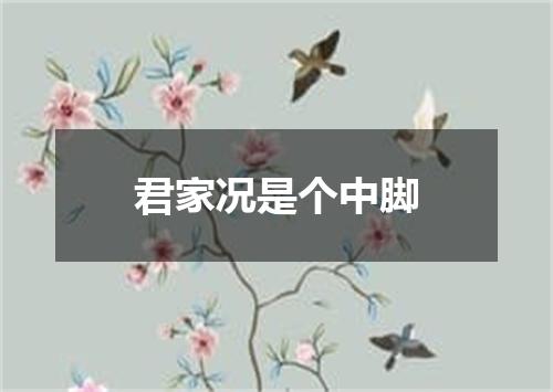君家况是个中脚