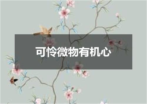 可怜微物有机心