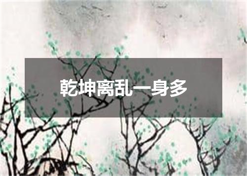 乾坤离乱一身多