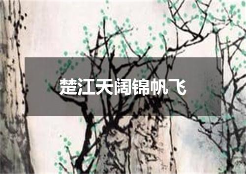 楚江天阔锦帆飞