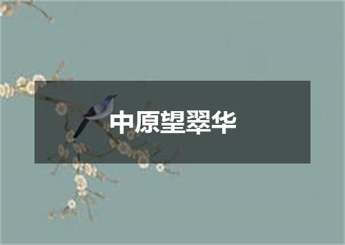 中原望翠华
