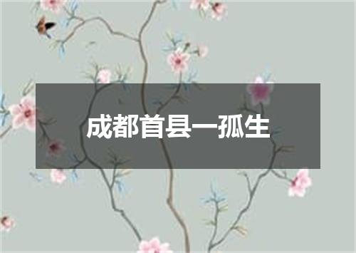 成都首县一孤生
