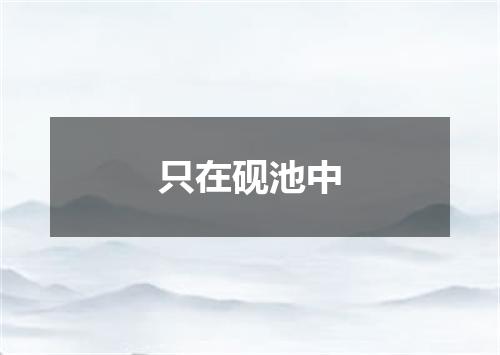 只在砚池中