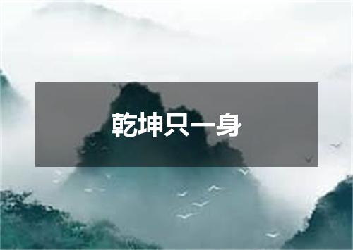 乾坤只一身