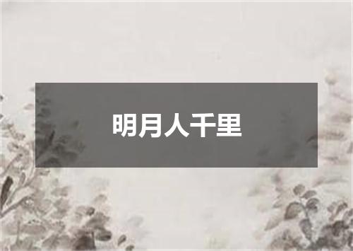 明月人千里