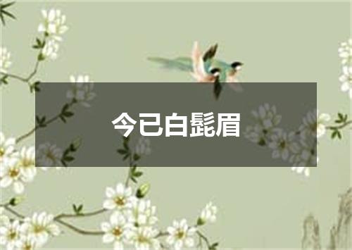 今已白髭眉
