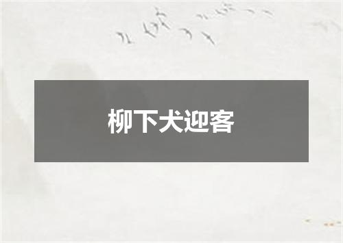 柳下犬迎客