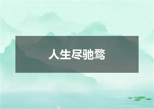 人生尽驰骛