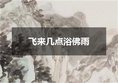 飞来几点浴佛雨
