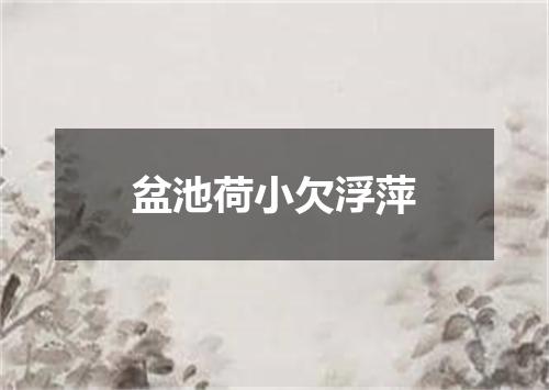 盆池荷小欠浮萍
