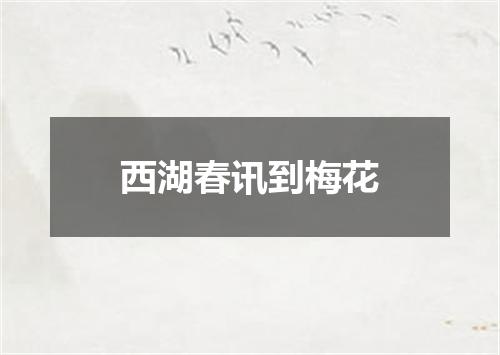 西湖春讯到梅花