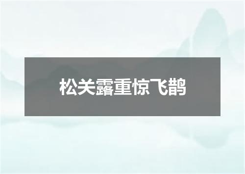 松关露重惊飞鹊