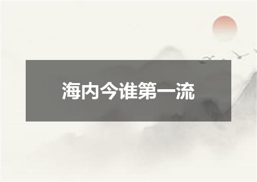 海内今谁第一流