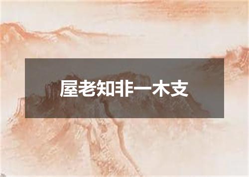 屋老知非一木支