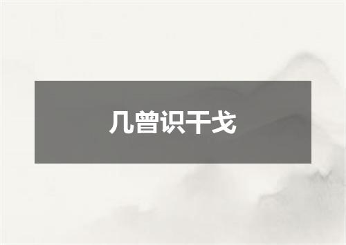 几曾识干戈
