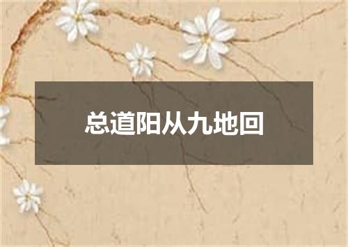 总道阳从九地回