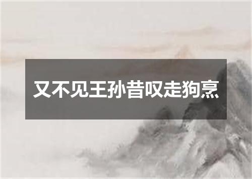 又不见王孙昔叹走狗烹
