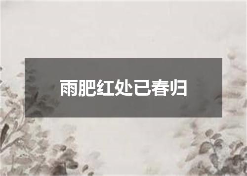 雨肥红处已春归