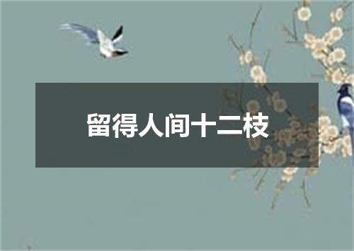留得人间十二枝