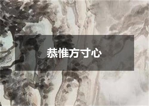 恭惟方寸心