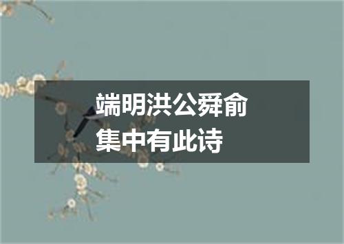 端明洪公舜俞集中有此诗