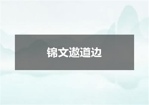 锦文遨道边