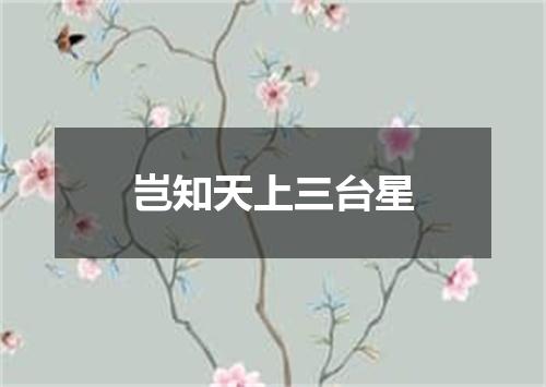 岂知天上三台星