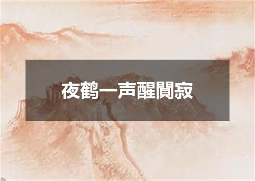 夜鹤一声醒閴寂