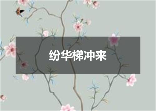 纷华梯冲来