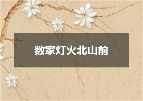 数家灯火北山前