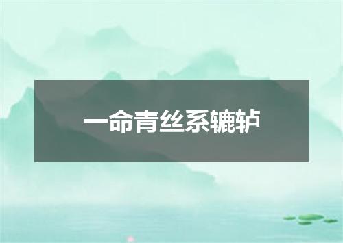 一命青丝系辘轳