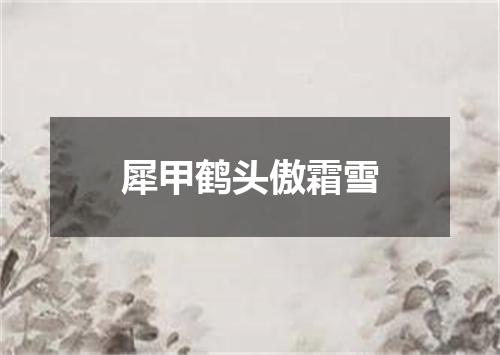 犀甲鹤头傲霜雪