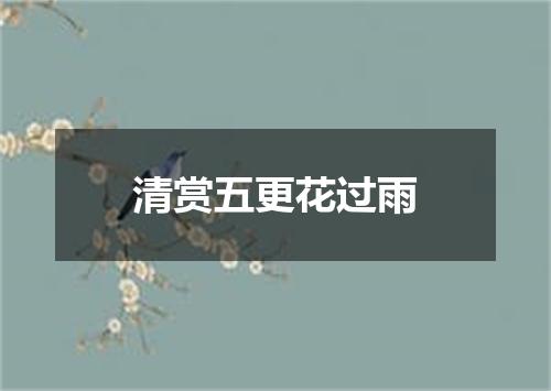 清赏五更花过雨