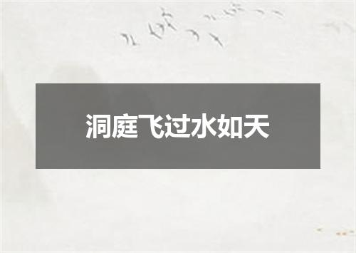洞庭飞过水如天