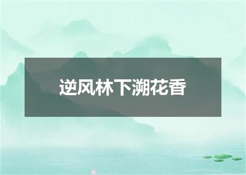 逆风林下溯花香