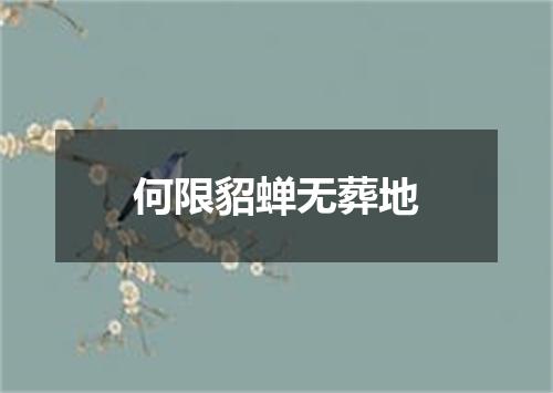 何限貂蝉无葬地
