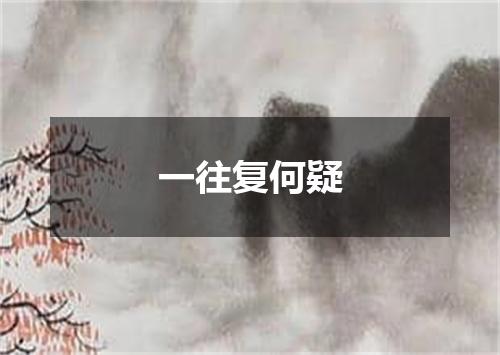 一往复何疑