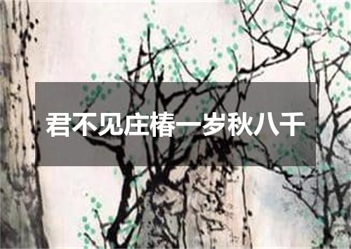 君不见庄椿一岁秋八千