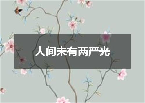 人间未有两严光