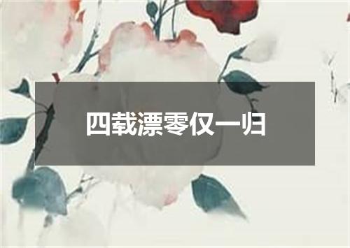 四载漂零仅一归