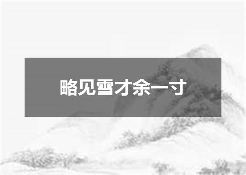 略见雪才余一寸