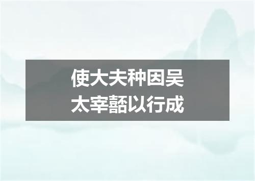 使大夫种因吴太宰嚭以行成