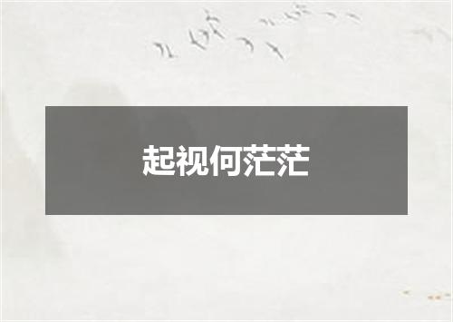 起视何茫茫