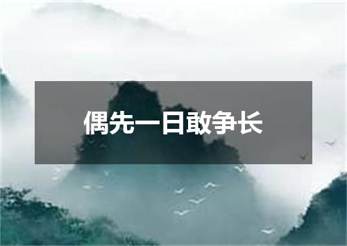 偶先一日敢争长