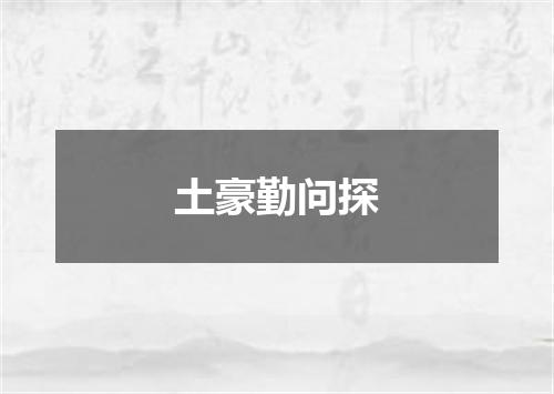 土豪勤问探