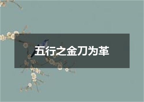 五行之金刀为革